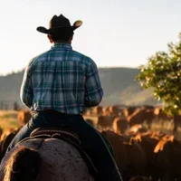 cowboy_420k free live xxx cams