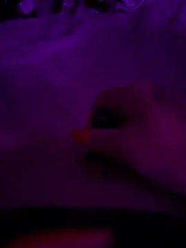 gingerleo free live xxx cams