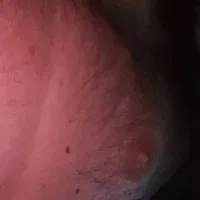 hotdog4you2 free live xxx cams