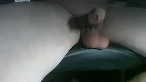 mobotix85 cams xxx ao vivo grátis