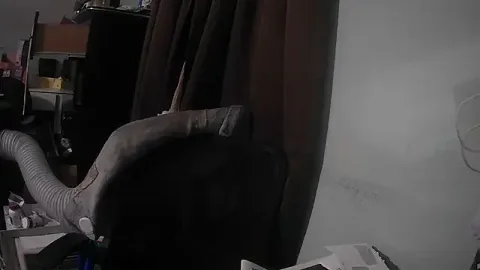 nickytheehawtie free live xxx cams