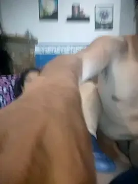 parejachild 무료 라이브 xxx 캠