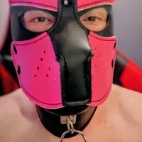 servedcock kostenlose live xxx cams