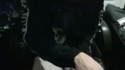 shytwink05x free live xxx cams