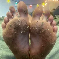 solotoes free live xxx cams