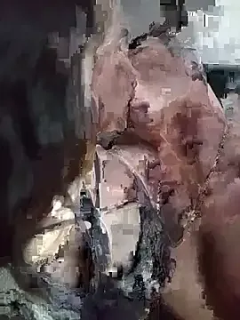 steffanihot δωρεάν live xxx cams