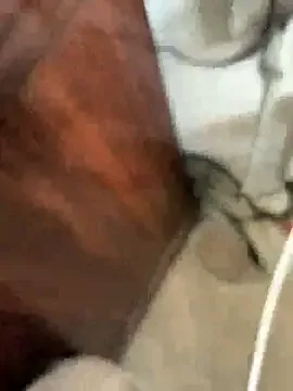 szy4418 ücretsiz canlı xxx cam