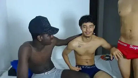 top_jax1 cams xxx ao vivo grátis