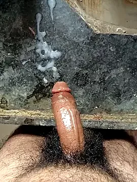xhanm cams xxx live gratuites