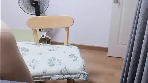 xinyibao 무료 라이브 xxx 캠