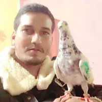 zakeerOnline 무료 라이브 xxx 캠